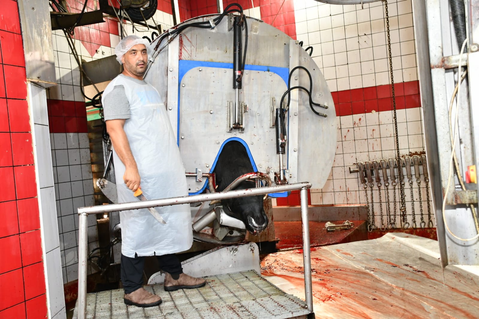 WhatsApp Image 2020-07-31 at 11.28.31 AM (1).jpeg.jpeg